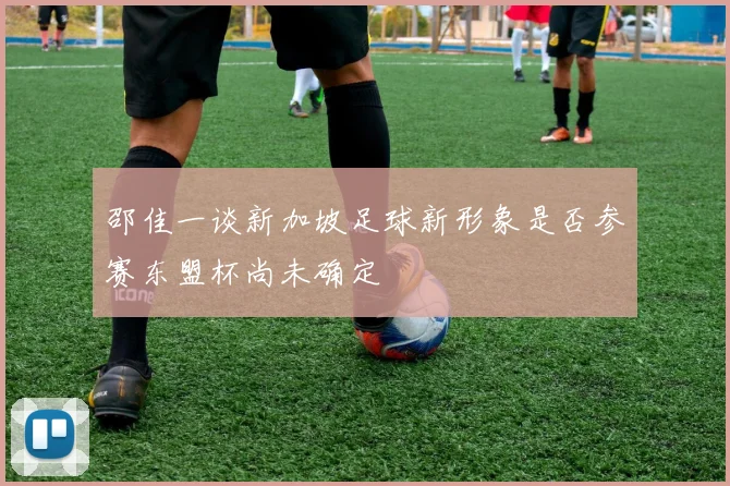 邵佳一谈新加坡足球新形象是否参赛东盟杯尚未确定